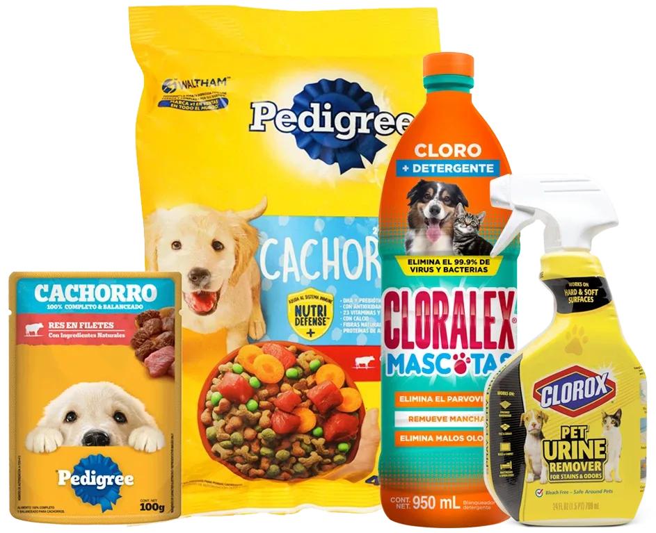 Productosmascotas